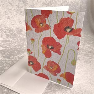 CARD POPPY SEED BLANK WITH ENVELOPE