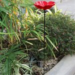 POPPY BIRD FEEDER (5 ¾” DIAMETER DISH)