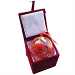 CLEAR GLASS ORNAMENT IN VELVET BOX